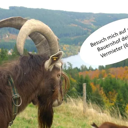 Appartement Seenest Am Schluchsee